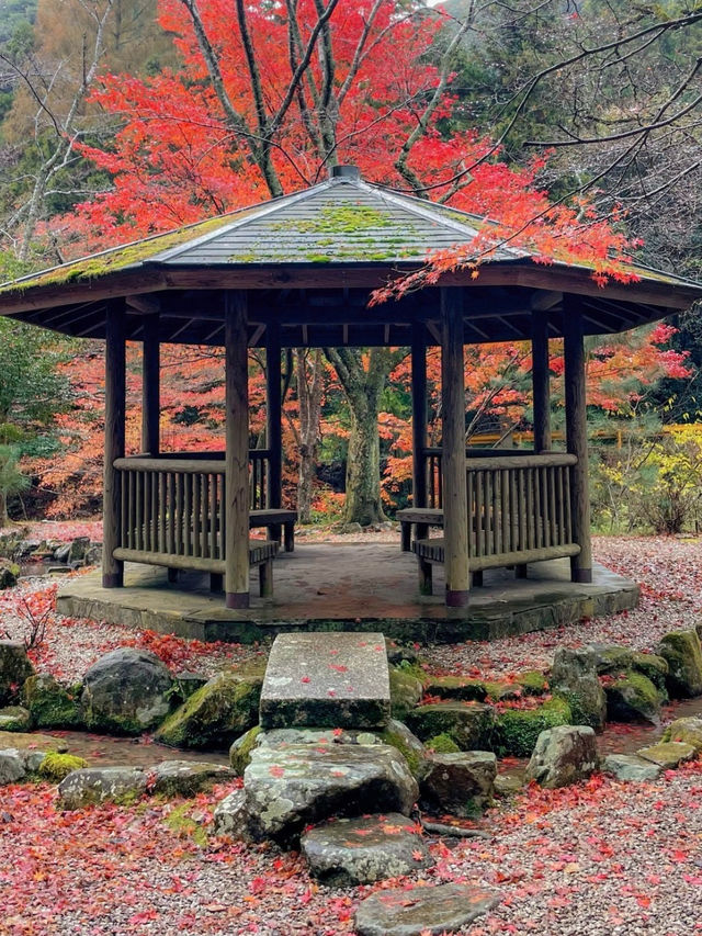 山口県古刹😊紅葉名所🍁大寧寺🍁たいねいじ