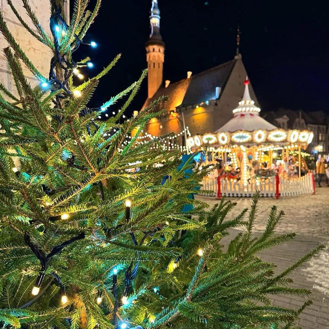 Magical Christmas Market Tallinn , Estonia 