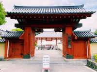 #奈良🇯🇵藥師寺#