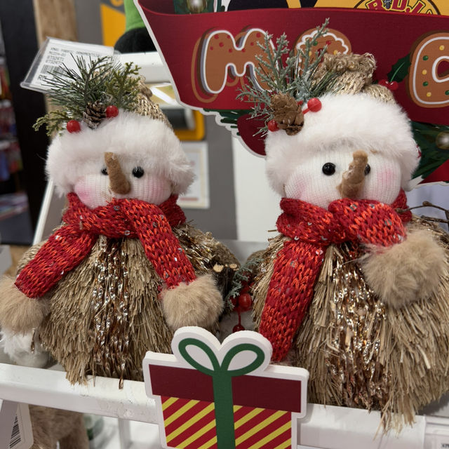Your Christmas Adventure Starts at Mr. DIY!