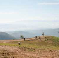 Akha FarmVille 🐑