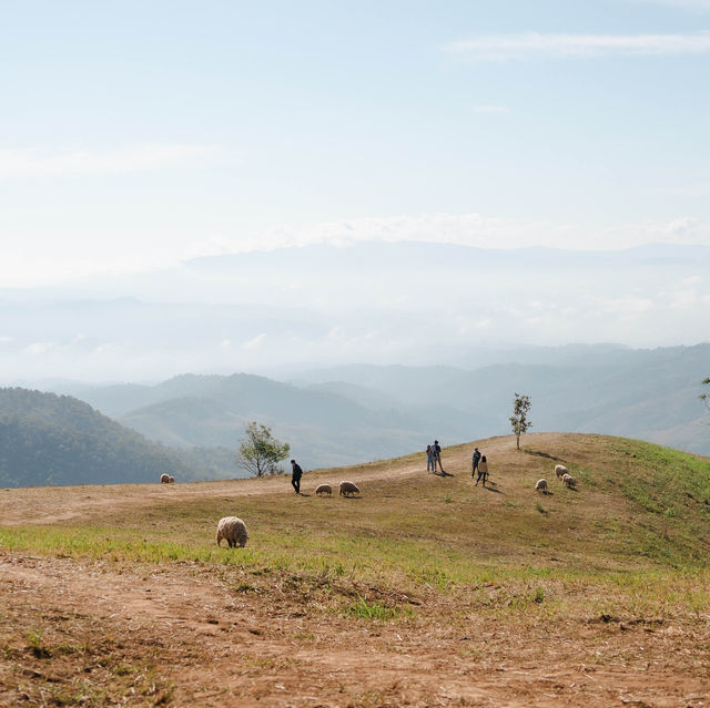 Akha FarmVille 🐑