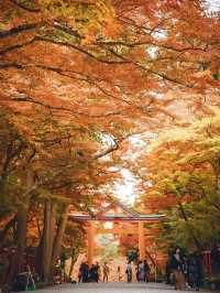 【日吉大社】滋賀の紅葉おすすめスポット
