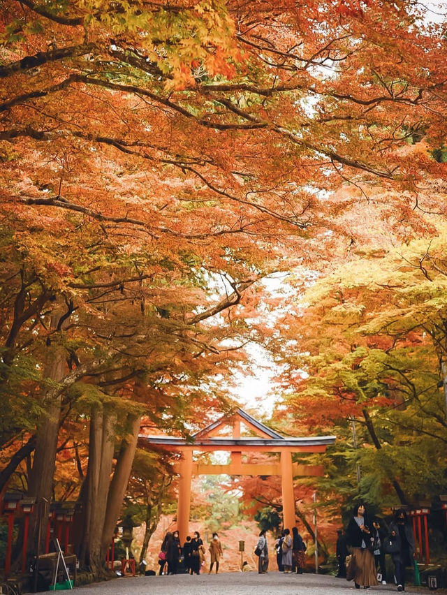 【日吉大社】滋賀の紅葉おすすめスポット