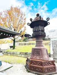 カラフルな千羽鶴の佐佳枝廼社【福井】 