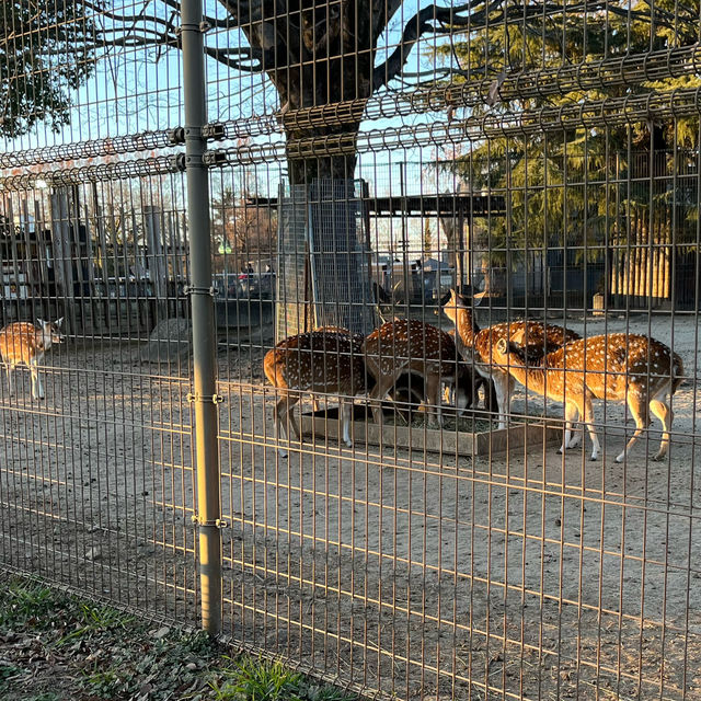遊園地と動物園があわさった東武動物公園