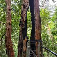 Blue Mountains National Park, New South Wales