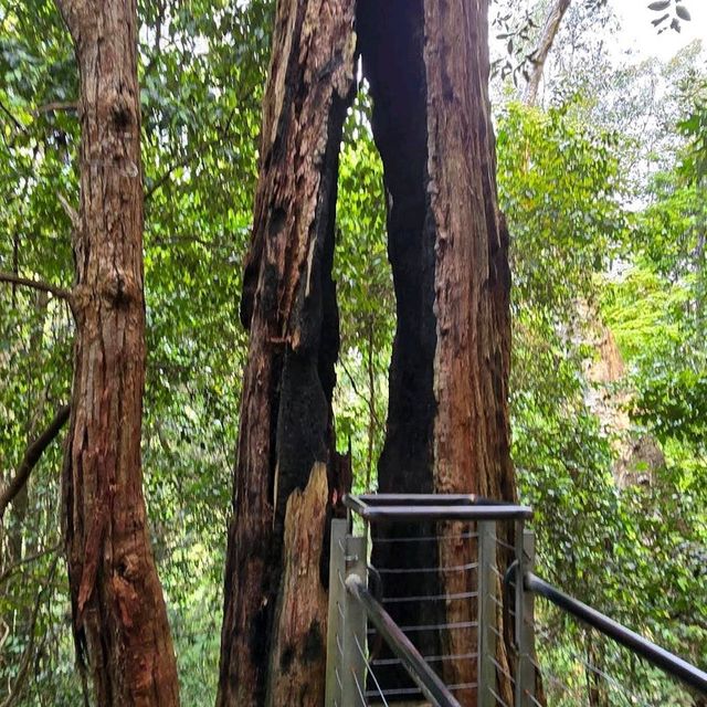 Blue Mountains National Park, New South Wales