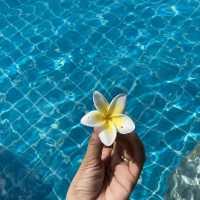 Escape to Zuri Resort (Coron, Palawan)