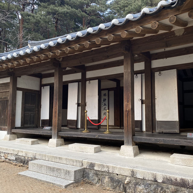 📸설 연휴에 오죽헌 방문은 어떨까요⁉️