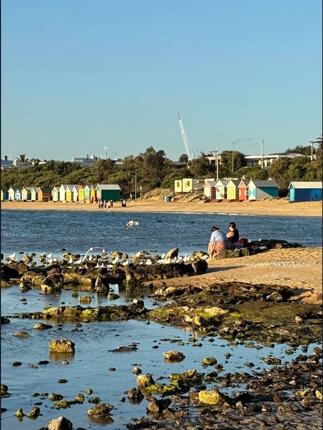 Visit Melbourne Brighton beach Rainbow❤️