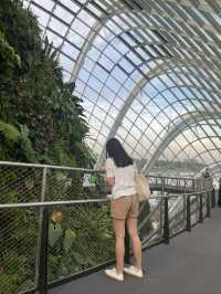 โดมยักษ์ Cloud Forest 🍃