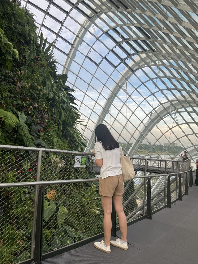 โดมยักษ์ Cloud Forest 🍃