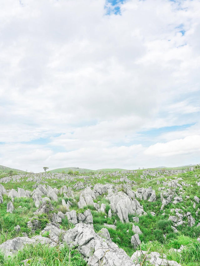 【山口】日本三大カルストの1つ！山口の絶景スポット