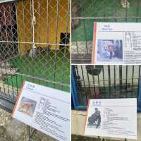 【大邱】無料で楽しめる動物園がある市民憩いの場【達城公園】　
