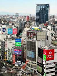 Shibuya Scramble Crossing