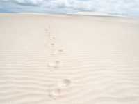 Focus on: stunning beaches of Brazil