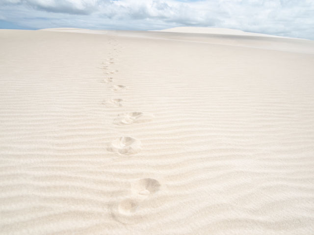Focus on: stunning beaches of Brazil