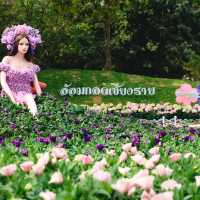 เชียงรายดอกไม้งาม 