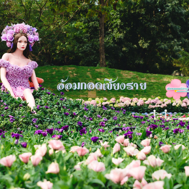 เชียงรายดอกไม้งาม 