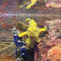 รีวิว Aquaria KLCC กัวลาลัมเปอร์