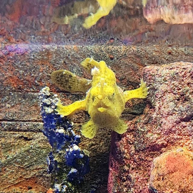 รีวิว Aquaria KLCC กัวลาลัมเปอร์