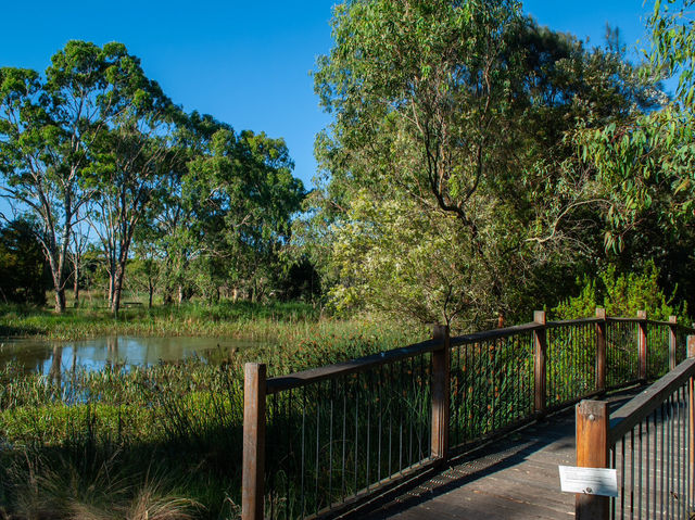 Tranquility by the Barwon: Discover Balyang Sanctuary