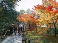 Kodaiji temple 