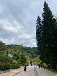 🏝️😎如熱帶雨林般的「城門谷公園」｜香港賞花拍照好地方🔥🏞️