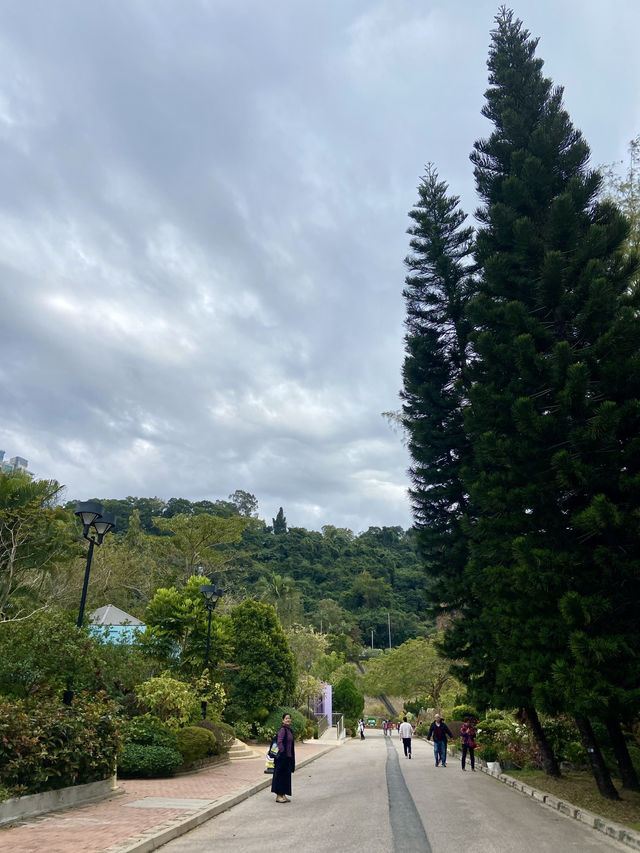 🏝️😎如熱帶雨林般的「城門谷公園」｜香港賞花拍照好地方🔥🏞️