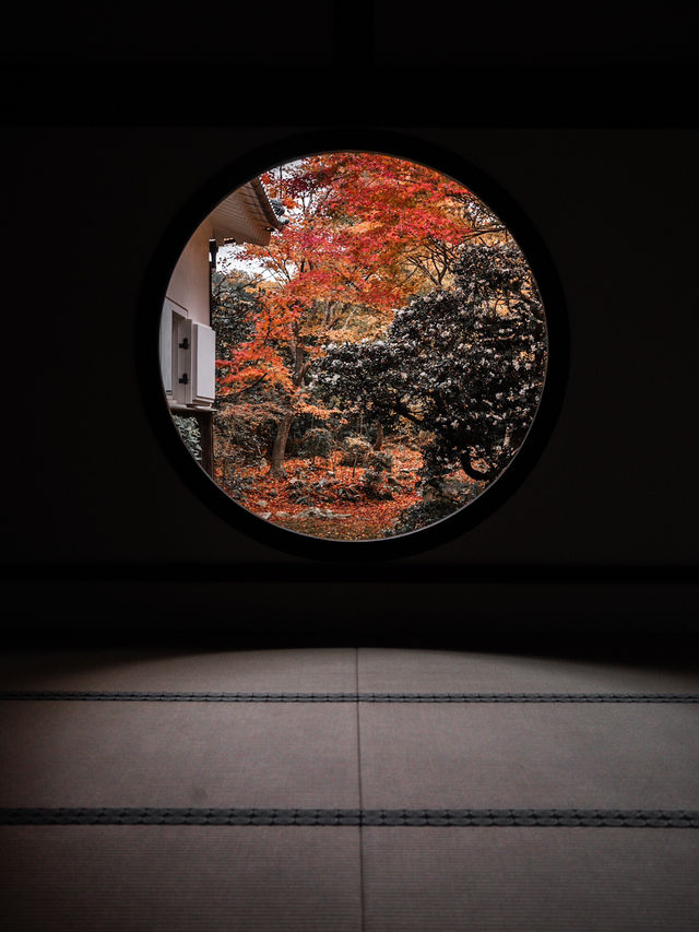  🍁 秋の源光庵で心に響くひとときを 🍂