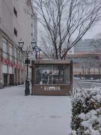 Sendai ในวันที่หิมะโปรยปราย~🌨️❄️🇯🇵