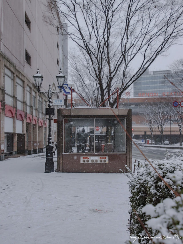 Sendai ในวันที่หิมะโปรยปราย~🌨️❄️🇯🇵