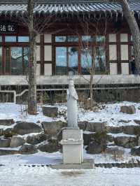 성북동 북악산자락의 🏔️자연과 힐링할 수 있는 서울 사찰투어 여행지 ✨