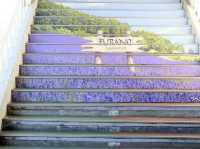 Tomita Farm ฟาร์มโทมิตะ