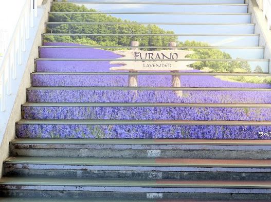 Tomita Farm ฟาร์มโทมิตะ