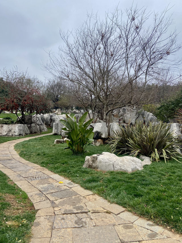 🏞️☺️石林生態公園｜雲林昆明好去處🥾
