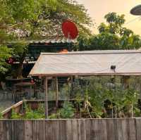 รวยริน ข้าวแฝ่โบราณ