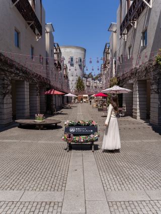 Things to do at Risonare Yatsugatake in Yamanashi Prefecture