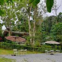 คาเฟ่กลางหุบเขา SILA CAFE ☕️🥤🥐