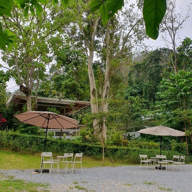 คาเฟ่กลางหุบเขา SILA CAFE ☕️🥤🥐