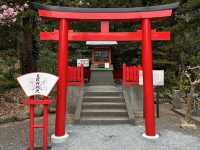 伊豆最古老的靈地——白濱神社探訪體驗