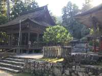 Kyū-Chikurin-in: A Historic Retreat with a Beautiful Garden