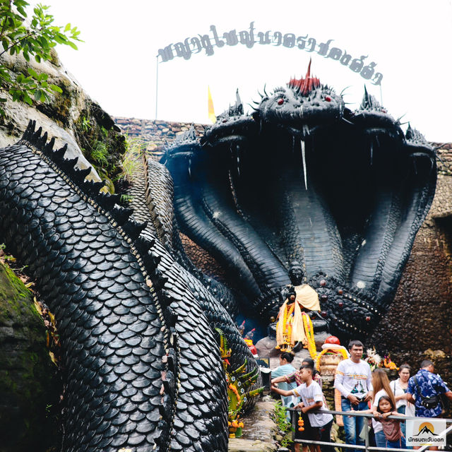 พญานาคราชองค์ดำ วัดป่าภูยอดรวย 