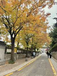 Bukchon hanok village half day itinerary 