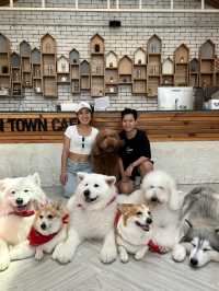 Dog In Town Café (ด็อกอินทาวน์ คาเฟ่) 