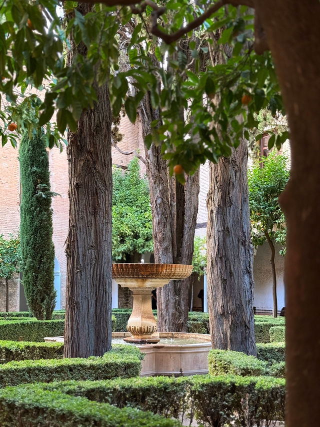 A lush oasis in the backyard of the posh Nasrid Palaces