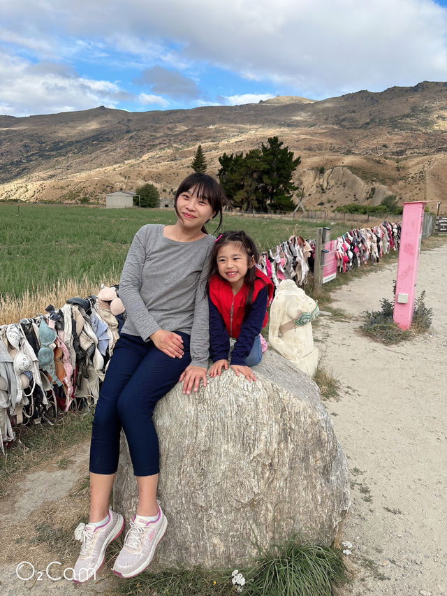 紐西蘭🇳🇿南島 #卡德羅納胸罩圍欄 超熱門公路打卡點！