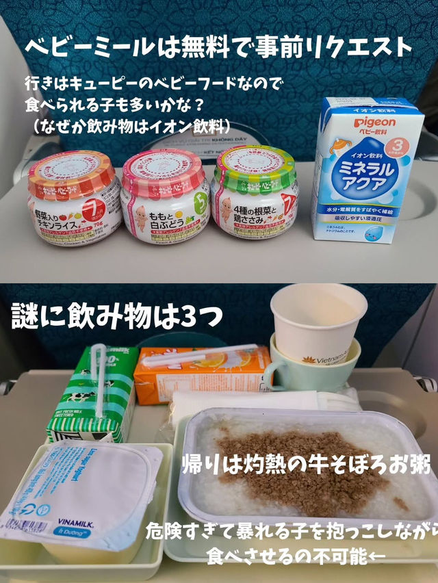 【ANAマイル利用】０歳子連れベトナム航空の使い方