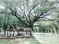 เยี่ยมชมเมืองเก่า อุทยานประวัติศาสตร์สุโขทัย
